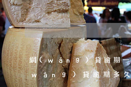 網(wǎng)貸逾期一月會不會失信(網(wǎng)貸逾期多久會被列入失信)