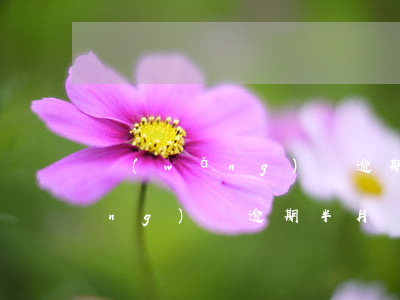 網(wǎng)貸逾期一月起訴-網(wǎng)貸逾期半月說要起訴