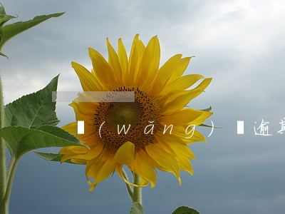 網(wǎng)貸逾期一次能出國嗎