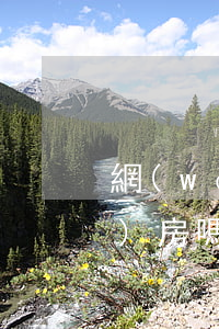 網(wǎng)貸逾期一次還能買(mǎi)房嗎