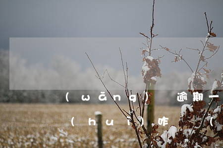 網(wǎng)貸逾期一段時(shí)間會(huì)咋樣(網(wǎng)貸逾期了半年的后果)