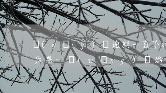 網(wǎng)貸逾期一直不接電話有什么后果-網(wǎng)貸逾期不接聽電話會有什么事嗎