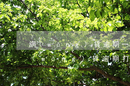 網(wǎng)貸逾期一直打給家人(別人網(wǎng)貸逾期打我電話)
