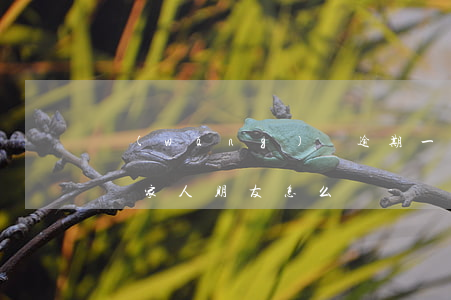 網(wǎng)貸逾期一直發(fā)短信給家人朋友怎么辦-網(wǎng)貸逾期一直發(fā)短信給家人朋友怎么辦呢