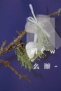 網(wǎng)貸逾期一直給公司打電話怎么辦-網(wǎng)貸逾期打電話到公司怎么辦