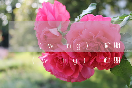 網(wǎng)貸逾期一直被騷擾怎么辦（網(wǎng)貸逾期一直被騷擾）
