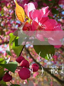 網(wǎng)貸逾期一般多久才會(huì)被起訴(網(wǎng)貸逾期多少天才會(huì)被起訴了)