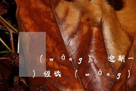 網(wǎng)貸逾期一般多久會(huì)催收(網(wǎng)貸逾期多久會(huì)被催收)
