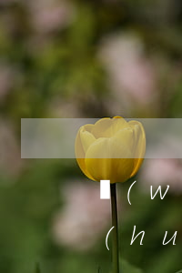 網(wǎng)貸逾期一萬(wàn)多會(huì)怎樣(網(wǎng)貸一萬(wàn)逾期一年要還多少)