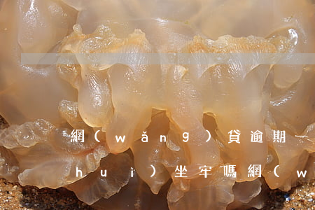 網(wǎng)貸逾期一萬(wàn)會(huì)坐牢嗎(網(wǎng)貸逾期要坐牢嗎)