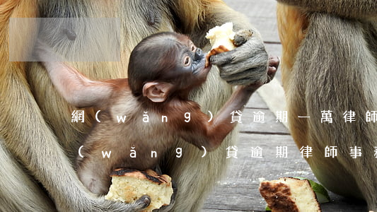 網(wǎng)貸逾期一萬律師上門取證 網(wǎng)貸逾期律師事務(wù)所上門調(diào)查取證