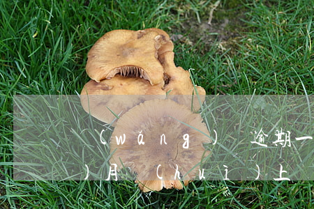 網(wǎng)貸逾期一萬逾期3個(gè)月會(huì)上門嗎-網(wǎng)貸逾期一萬逾期3個(gè)月會(huì)上門嗎知乎