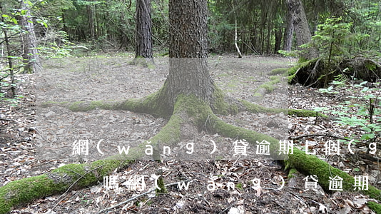 網(wǎng)貸逾期七個(gè)月算黑戶嗎(網(wǎng)貸逾期七個(gè)月是黑戶嗎)
