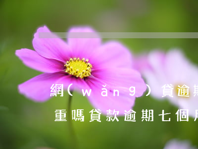 網(wǎng)貸逾期七個月嚴(yán)重嗎(貸款逾期七個月嚴(yán)重嗎)