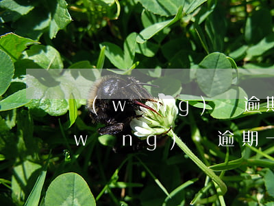 網(wǎng)貸逾期七千會被起訴嗎(網(wǎng)貸逾期一萬多會起訴嗎?)