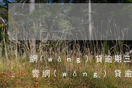 網(wǎng)貸逾期三個(gè)月的影響(網(wǎng)貸逾期3個(gè)月)