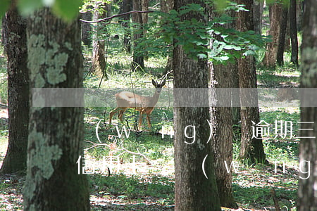 網(wǎng)貸逾期三個(gè)月能辦信用卡嗎 網(wǎng)貸有逾期信用卡可以辦嗎
