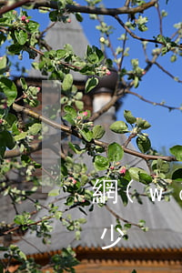 網(wǎng)貸逾期三個(gè)月變多少