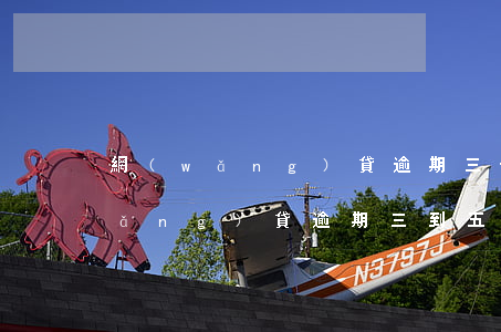 網(wǎng)貸逾期三個小時行嗎(網(wǎng)貸逾期三到五天有事嗎)