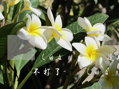 網(wǎng)貸逾期三個月不接電話,后面不打了-網(wǎng)貸逾期三個月不接電話,后面不打了怎么辦