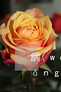 網(wǎng)貸逾期三個月還不結(網(wǎng)貸逾期三個月最后還了)