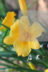 網(wǎng)貸逾期三十萬還不上有什么后果-網(wǎng)貸逾期三十萬還不上有什么后果嗎