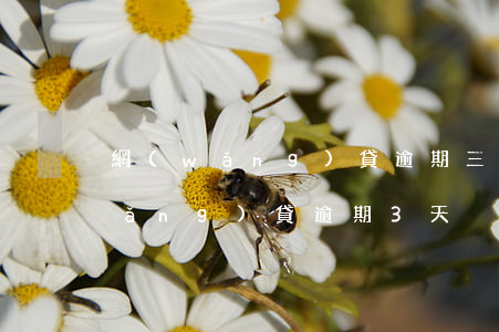 網(wǎng)貸逾期三四天沒事吧(網(wǎng)貸逾期3天)