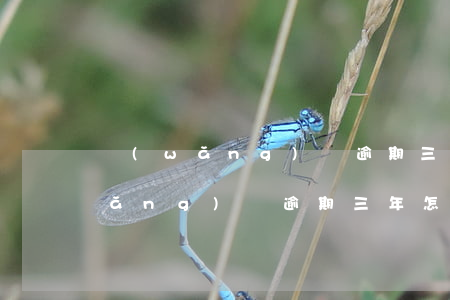 網(wǎng)貸逾期三四年怎么辦(網(wǎng)貸逾期三年怎么處理)