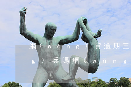 網(wǎng)貸逾期三天影響當(dāng)兵嗎(網(wǎng)貸逾期三天有什么影響)