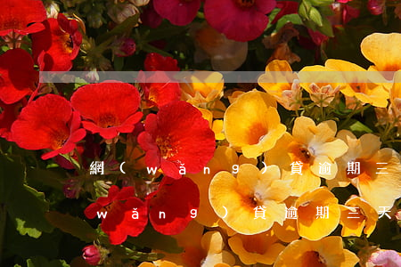 網(wǎng)貸逾期三天說要全額還(網(wǎng)貸逾期三天嚴(yán)重嗎)