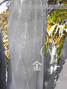 網(wǎng)貸逾期三年了可以溝通還本金嗎-網(wǎng)貸逾期三年了可以溝通還本金嗎怎么辦