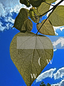 網(wǎng)貸逾期三年了還在催收(網(wǎng)貸逾期三年催收又開始了)