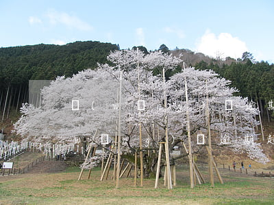 網(wǎng)貸逾期三年以上怎么辦(網(wǎng)貸逾期超過三個(gè)月)