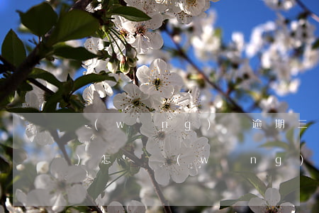 網(wǎng)貸逾期三年以上會(huì)怎樣(網(wǎng)貸逾期兩三年會(huì)怎么樣嗎)
