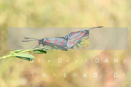 網(wǎng)貸逾期三年以上會(huì)派人去你家嗎-網(wǎng)貸逾期三年以上會(huì)派人去你家嗎知乎