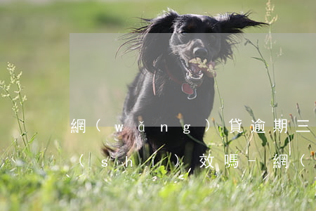 網(wǎng)貸逾期三年以上還有訴訟時(shí)效嗎-網(wǎng)貸逾期三年以上還有訴訟時(shí)效嗎知乎