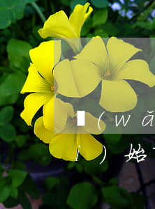 網(wǎng)貸逾期三年催收又開(kāi)始了(網(wǎng)貸逾期兩年催收又開(kāi)始了)