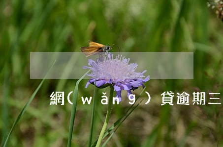 網(wǎng)貸逾期三年催收又開始了