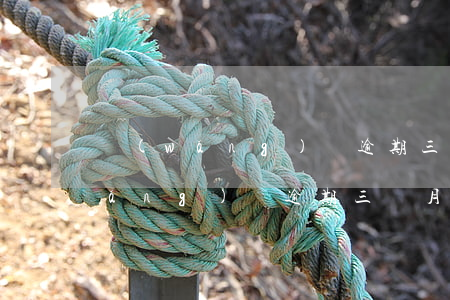 網(wǎng)貸逾期三年有影響嗎(網(wǎng)貸逾期三個月會有什么后果)