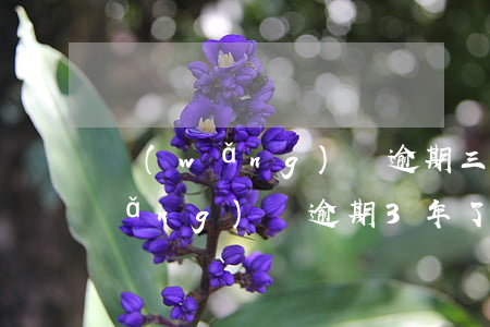 網(wǎng)貸逾期三年還會怎樣(網(wǎng)貸逾期3年了)