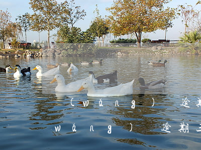 網(wǎng)貸逾期三年還能借款嗎(網(wǎng)貸逾期三年了嚴(yán)重嗎)