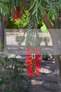 網(wǎng)貸逾期三日內(nèi)會入征信(網(wǎng)貸逾期三四天會上征信嗎)
