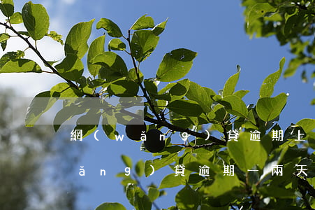 網(wǎng)貸逾期上傳二次征信(網(wǎng)貸逾期一兩天會(huì)上征信嗎)