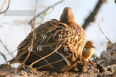網(wǎng)貸逾期上報(bào)司法程序(網(wǎng)貸逾期進(jìn)入司法程序會(huì)怎么樣)