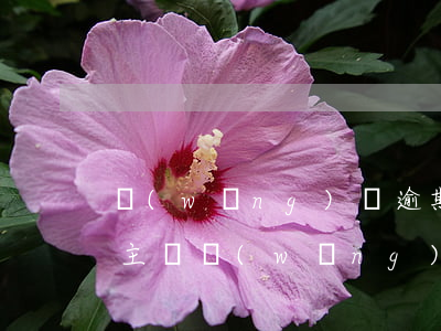 網(wǎng)貸逾期上報(bào)征信主體(網(wǎng)貸逾期上報(bào)征信會(huì)有什么后果)