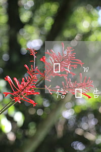 網(wǎng)貸逾期上報人行征信(人行征信報告會顯示網(wǎng)貸申請記錄嗎?)