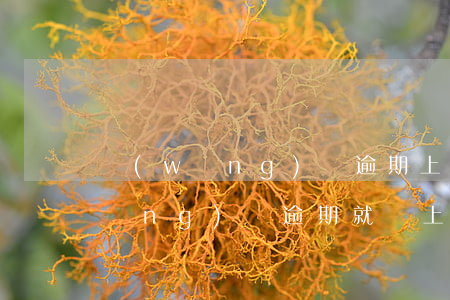網(wǎng)貸逾期上央行征信嗎(網(wǎng)貸逾期就會上征信嗎)