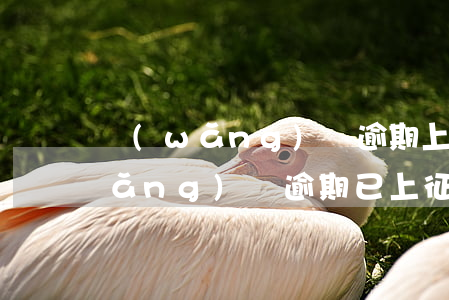 網(wǎng)貸逾期上征信什么消(網(wǎng)貸逾期已上征信該怎么辦)