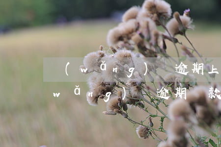 網(wǎng)貸逾期上征信可以撤銷(網(wǎng)貸逾期還款了什么時(shí)候征信撤除)