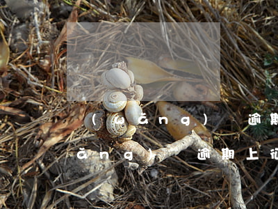 網(wǎng)貸逾期上征信合法嗎(網(wǎng)貸逾期上征信合法嗎)